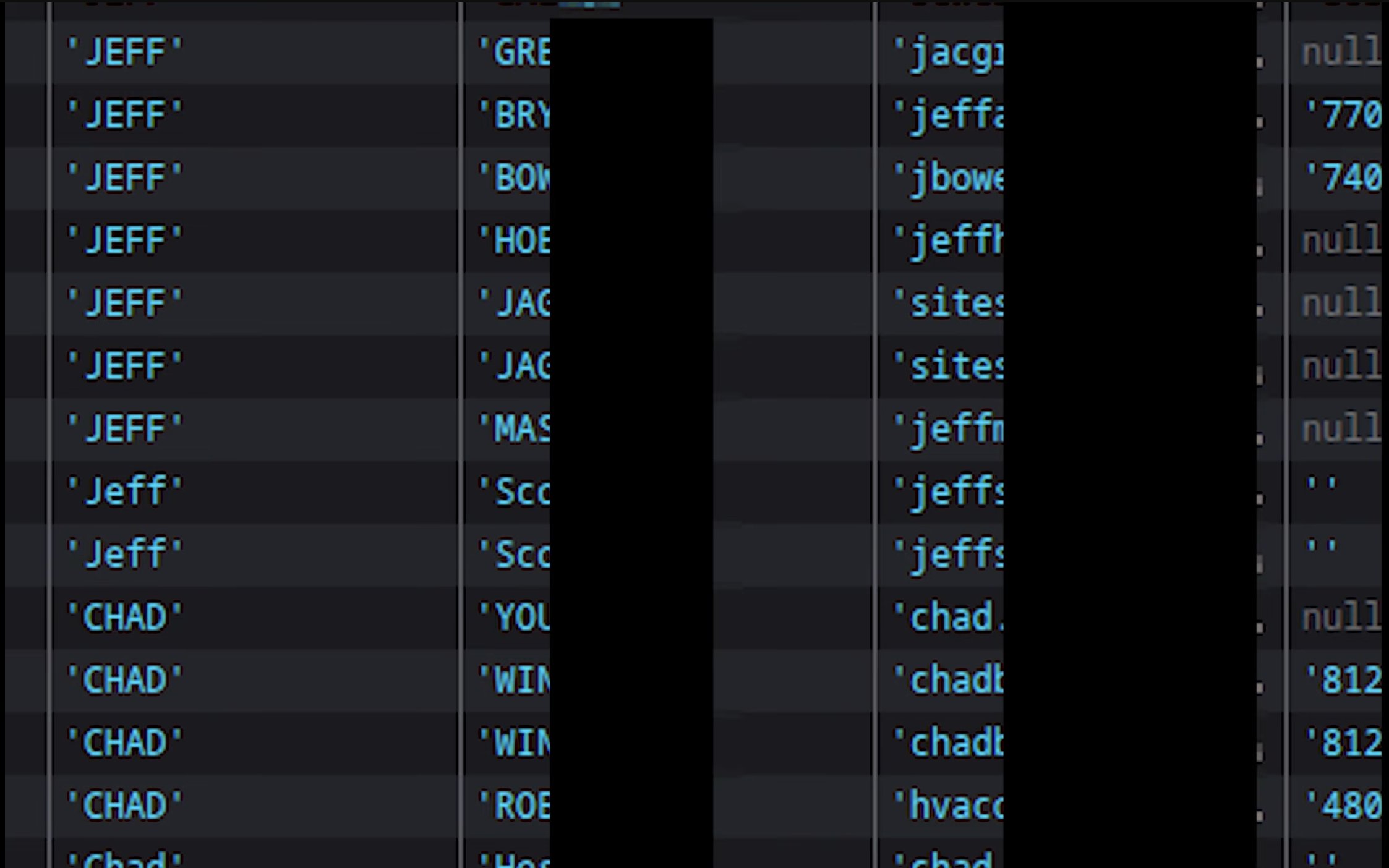 Redacted database showing rows containing the name Jeff and Chad